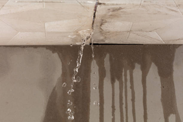 Professional Structural Drying technician working in Marshall, WA